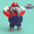 mario-wonder.jpg MARIO ELEPHANT (MARIO ELEPHANT ) SUPER MARIO BROS WONDER