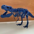 IMG-1254.jpg Posable T-Rex Skeleton- supportless
