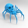 untitled.38.jpg Skull Scary Spider Skeleton