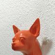 IMG-20250621-WA0028.jpg chihuahua dog head wall mount stl