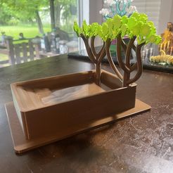 IMG_6185.jpg Free STL file Reptile Pool with Shade Trees・3D print object to download