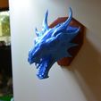 ab28d73c95c84ee33dd0e330bcabcec9_display_large.JPG Trofeo Skyrim Swamp Dragon wall