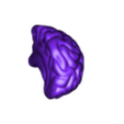 LobuloFrontalIzquierdo.stl Anatomical model of the brain with base.
