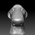 ZGrab09.jpg Borzoi dog head
