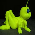 Cute-Grasshopper-5.jpg Niedlicher Grashüpfer (Einfacher Druck - Druck an Ort und Stelle)