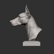 doberman4.jpg Doberman bust 3D printed model