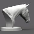 Horse's-head4.jpg Horses head 3D print model