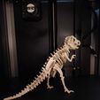 DINO1.jpeg T-Rex Interconectado