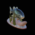 bass-na-podstavci-9.png bass underwater statue detailed texture for 3d printing