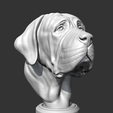 10.png Spanish Mastiff Head AM30 3D print model
