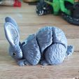 Кролик - Flexi Articulated Animal (печать на месте, без опор)