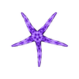 EtoileMer1_2113.stl Starfish