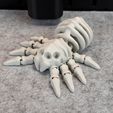 IMG_6835.jpg Flexi Skeleton Spider V2