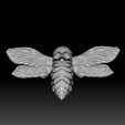 C.jpg Death's Head Hawk Moth