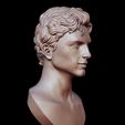 10.jpg Timothee Chalamet bust sculpture 3D print model