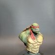 Buste TMNT (fan art)