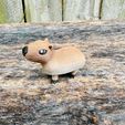 cap1.jpg Clicky Capybara! - Lifetime Commercial License!