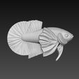 z5494651711416_d8731d8af913632d57b25fb64e84a625.jpg Betta Fish Dumble - Ready For 3D Printing