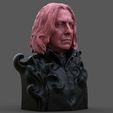 Screenshot_4.jpg Severus Snape Bust