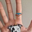 1731329018626.jpg Pitbull keychain