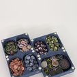 PXL_20240814_113528235.jpg Tokens Tray