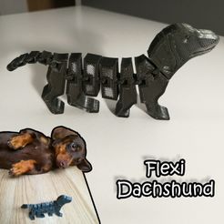 Dachshund.jpg Archivo STL Flexi Dachshund・Objeto imprimible en 3D para descargar