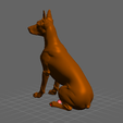doberman-cropped-ears-03.png Dobermann kupierte Ohren