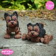 dd.jpg Print In Place Cute Flexi Yorkshire Dog
