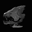 IMG_0530.png Squelette dunkleosteus