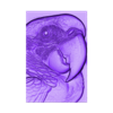 macaws head (1).obj relife carving of c macaw head