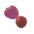 4.png Lychee Fruit - Exquisite 3D Printable Model
