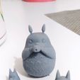 Totoro Family(My Neighbor Totoro)