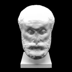 resize-040756612827aa36464a71b335044ee716220e18.jpg Download free STL file Marble Head of a Philosopher at The Metropolitan Museum of Art, New York • 3D printer model, metmuseum