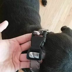 21469675_10155659000562128_301460663_n.jpg Fichier 3D Clip parachute pour collier de chien Mâle et femelle - avec découpe・Design pour impression 3D à télécharger