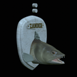 zander-head-trophy-5.png fish head trophy zander / pikeperch / Sander lucioperca open mouth statue detailed texture for 3d printing
