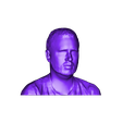 tjg-head.stl ThatJoshGuy's Head - 3D Scan via Kinect V1 and Skanect Software