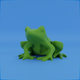 0026.png Frog stylized
