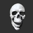 10.jpg Skull Anatomy  3D print model
