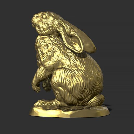 23.jpg Hare looks up