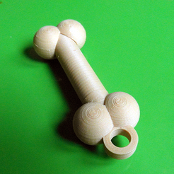 5.png Free STL file Container for dog collar, bone style・3D printable model to download