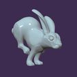 02.jpg running rabbit