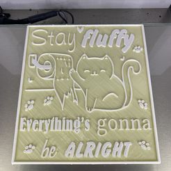 IMG_1356.jpg Download STL file Bathroom sign 'fluffy' • Model to 3D print, RaimonLab