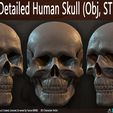 Highly-Detailed-Human-Skull-001.jpg Highly Detailed Human Skull