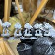 IMG_0127.jpeg StarPorts - Stackable Tactic-L Spay-S Marr-ENs (Supported)