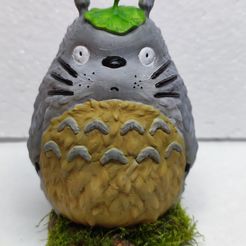 Totoro(My Neighbor Totoro), Noxec
