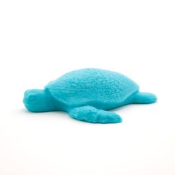 ef335ba7b508512609e24661098ef971_1447694491544_IMG_3969.jpg STL-Datei Sea Turtle kostenlos・3D-Druck-Modell zum herunterladen
