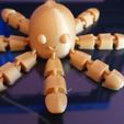 122678540_3631349683590530_5346415331438494968_o.jpg Articulated Octopus- Happy/Angry Octopus FLEXI PRINT-IN-PLACE