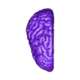 STLTG - brainFrontal-parietal_R.stl 3D Model of Human Brain