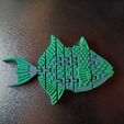 flexi-gray-trigger-fish-4.jpg pez gatillo gris flexi