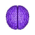 Brain Small.stl Craniumortis - No AMS / Multi-Part Bust